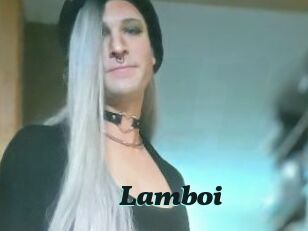 Lamboi