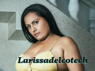 Larissadelcotech