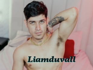 liamduvall Cumshots Videos
