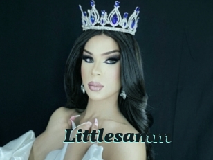 Littlesamm