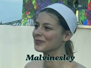 Malvinesley