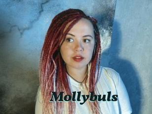 Mollybuls