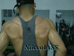 NiiccolASS