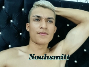 noahsmitt Cumshots Videos