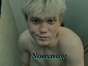 Noasnow