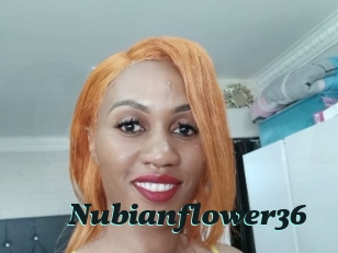 nubianflower36 Cumshots Videos