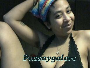 Pussaygalore