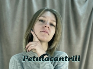 petulacantrill Cumshots Videos
