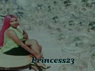 Princess23