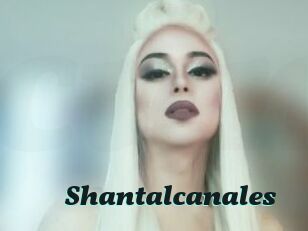 Shantalcanales