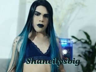 Shaneilysbig