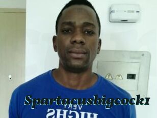 Spartacusbigcock1