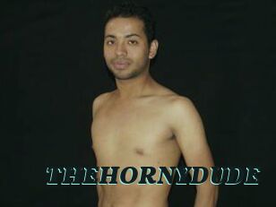 THEHORNYDUDE