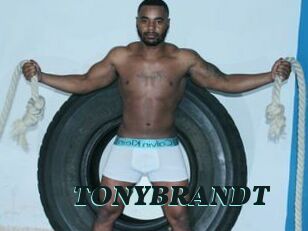 TONYBRANDT