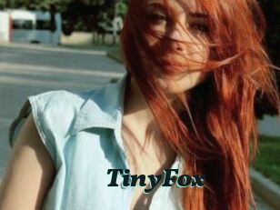 TinyFox