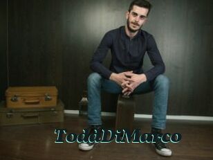 ToddDiMarco