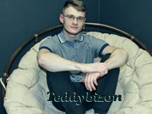 Teddybizon