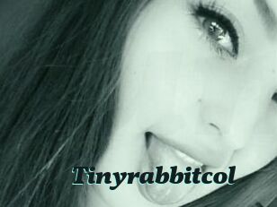 Tinyrabbitcol