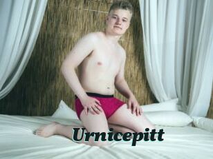 Urnicepitt