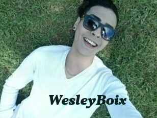 Wesley_Boix