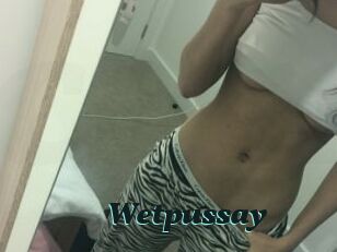 Wetpussay