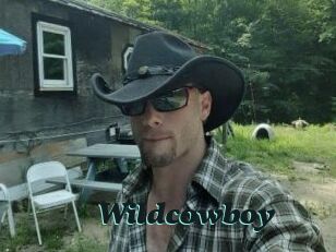 Wildcowboy