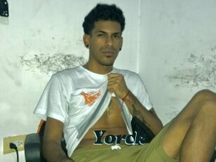 yorck Cumshots Videos