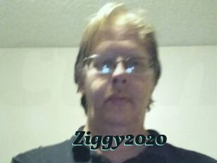 Ziggy2020