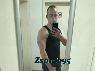 Zsomb95